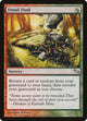 [Foil] Fossil Find (206) (Shadowmoor)
