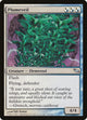 Plumeveil (145) (Shadowmoor)