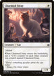 Charmed Stray (8) (War of the Spark)