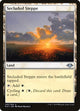 [Foil] Secluded Steppe (245) (Modern Horizons)