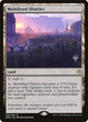 [Foil] Mobilized District (249) (Core Set 2020)