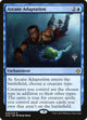 Arcane Adaptation (46) (Core Set 2020)