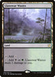 Llanowar Wastes (258) (Commander 2019)