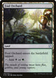 Foul Orchard (244) (Commander 2019)