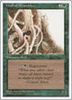 Wall of Brambles (Fourth Edition)