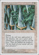 Wall of Swords (Fourth Edition)