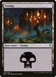 [Foil] Swamp (261) (261) (Throne of Eldraine)