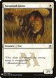 Savannah Lions (33) (The List Reprints)