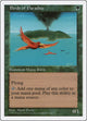 Birds of Paradise (142) (Fifth Edition)