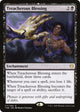 [Foil] Treacherous Blessing (117) (Theros Beyond Death)