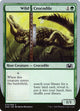 Wild Crocodile (74) (Unsanctioned)