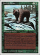 Grizzly Bears (SUM #201)