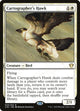 Cartographer's Hawk (24) (Commander 2020)