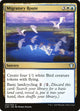Migratory Route (222) (Commander 2020)