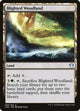 Blighted Woodland (258) (Commander 2020)