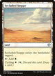 Secluded Steppe (307) (Commander 2020)