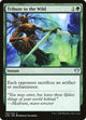 Tribute to the Wild (193) (Commander 2020)