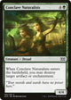 [Foil] Conclave Naturalists (160) (Double Masters)