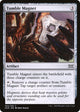 Tumble Magnet (304) (Double Masters)