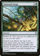 [Foil] Vastwood Surge (217) (Zendikar Rising)