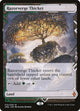 Razorverge Thicket (15) (Zendikar Rising Expeditions)