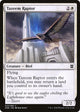 [Foil] Tazeem Raptor (43) (Zendikar Rising)