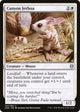 [Foil] Canyon Jerboa (7) (Zendikar Rising)