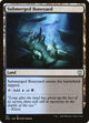 Submerged Boneyard (141) (Zendikar Rising)