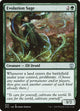 Evolution Sage (65) (Zendikar Rising)