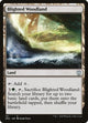 Blighted Woodland (121) (Zendikar Rising)