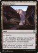 Cryptic Caves (125) (Zendikar Rising)