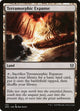 Terramorphic Expanse (142) (Zendikar Rising)