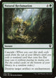 Natural Reclamation (245) (Commander Legends)