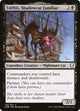 [Foil] Falthis, Shadowcat Familiar (126) (Commander Legends)