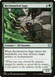 Reclamation Sage (434) (434) (Commander Legends)