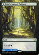 Barkchannel Pathway (Borderless) (290) (Kaldheim)