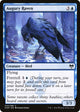[Foil] Augury Raven (44) (Kaldheim)