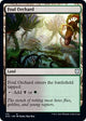 Foul Orchard (110) (Kaldheim)