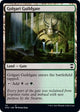 Golgari Guildgate (111) (Kaldheim)