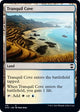 Tranquil Cove (119) (Kaldheim)