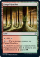 [Foil] Fungal Reaches (279) (Time Spiral: Remastered)