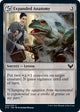 [Foil] Expanded Anatomy (2) (Strixhaven: School of Mages)