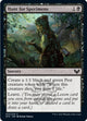 [Foil] Hunt for Specimens (73) (Strixhaven: School of Mages)