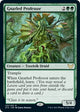 [Foil] Gnarled Professor (133) (Strixhaven: School of Mages)