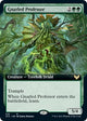 [Foil] Gnarled Professor (Extended Art) (319) (Strixhaven: School of Mages)