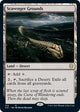 Scavenger Grounds (314) (Commander 2021)
