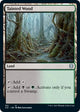 Tainted Wood (321) (Commander 2021)