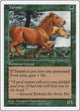 Tarpan (Fifth Edition)
