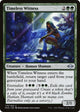 Timeless Witness (179) (Modern Horizons 2)