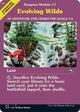 [Foil] Evolving Wilds (AFR #353)